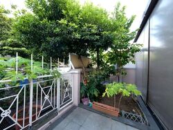 East View Garden (D16), Terrace #581286001